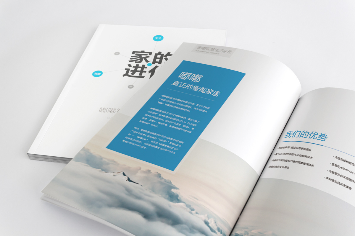 智能家居企業畫冊設計,智能家居企業畫冊設計公司